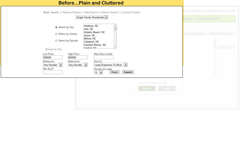 Before...IDX Basic Search - Plain and Cluttered